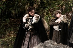 Robb y Bran con las crías de lobo huargo