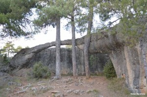 La Lucha entre el Elefante y el Cocodrilo