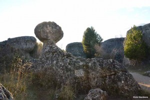 La Foca de piedra equilibra un balón sobre su hocico