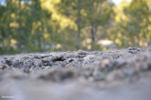 El Mar de Piedra