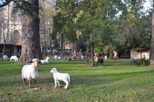 Los pastores contemplan al ángel