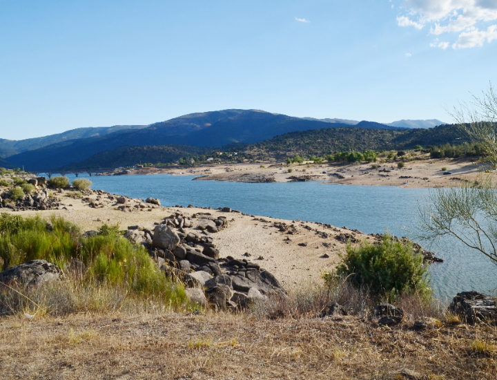 Flora del Embalse El Burguillo Ⓒ Cristina García