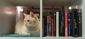 La Gatoteca
