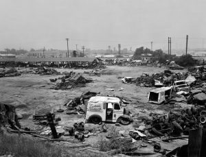 Automotive Landscape