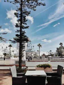 Parque Feddan