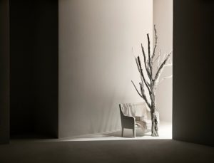 Exposición de Ignacio Llamas