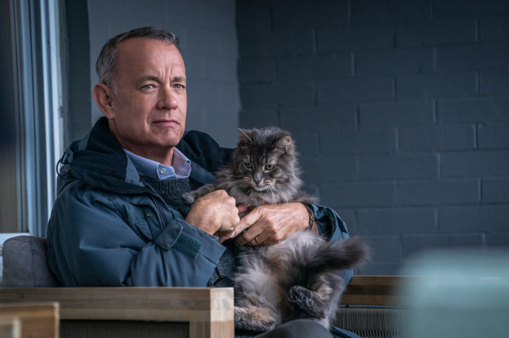 Tom Hanks abrazando a un gato callejero