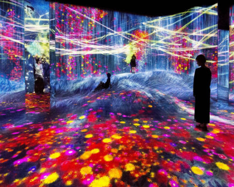 Universe of water particles on a rock hill' / 'Forest of flowers and people' / 'Lost'. teamLab Borderless Shanghai.