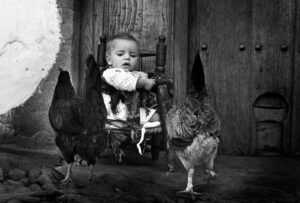 Fotografía de un niño rodeado de gallinas.