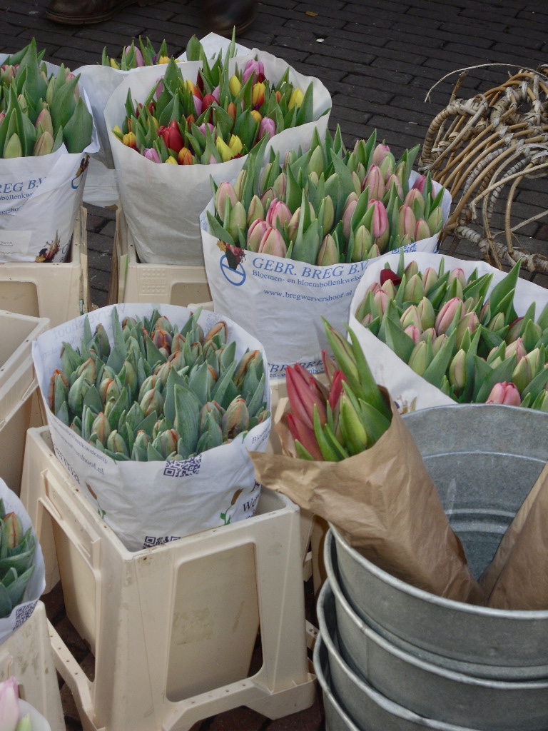 Tulipanes en el Mercado de las flores de Amsterdam