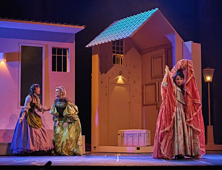 La tapada Celia en El escondido y la tapada / Fuente: Mauro Testa