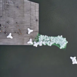 ‘Bycatch’, la instalación de los artistas Abie Franklin y Daniel Hölzl en Matadero Intermediae