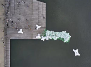‘Bycatch’, la instalación de los artistas Abie Franklin y Daniel Hölzl en Matadero Intermediae